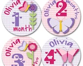 Baby Month Stickers Baby Girl Monthly Onesie Stickers Monthly Onesie Sticker Girl Baby Shower Gift Photo Prop Baby Milestone