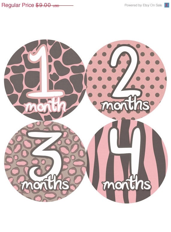 Baby Month Stickers Baby Girl Monthly Onesie Stickers Monthly Onesie Sticker Girl Baby Shower Gift Photo Prop Baby Milestone