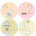 Baby Month Stickers Baby Girl Monthly Onesie Stickers Monthly Onesie Sticker Girl Baby Shower Gift Photo Prop Baby Milestone