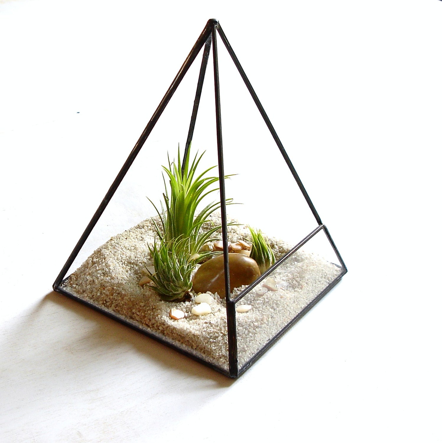 Terrarium, Glass Pyramid Planter with Air Plant, DIY, Desk Accessory