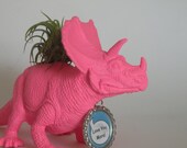 Hot pink dinosaur planter with air plant included.