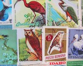 Where Eagles Dare 50 Vintage US Worldwide Bird Postage Stamps Philately Ornithology Water Fowl Rooster Toucan Duck Owl Twitter Tweet
