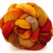 hand painted, organic polworth, 22 micron spinning fiber ,  combed top : felting supplies, wool roving