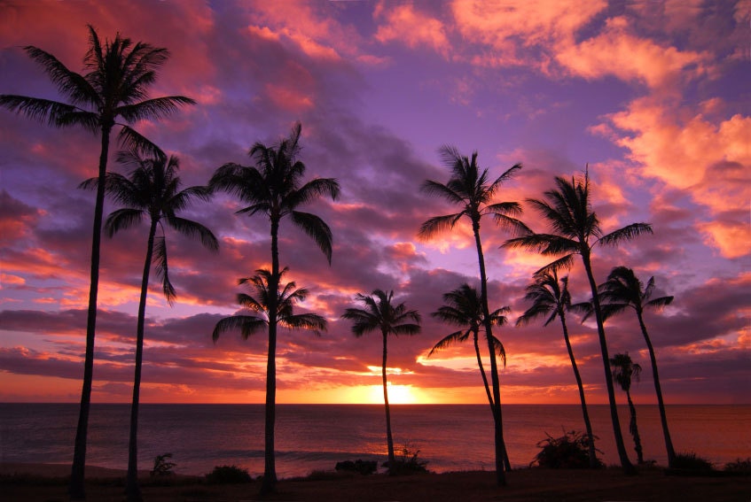 1 JUMBO Hawaiian Mist Scented Candle Tart Wax Melt 2.5 oz