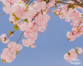 Flower Photography, Nature Photography, Springtime, Girls Room Decor, Dreamy Whimsical, Pink Flowers Print - From the sky