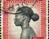 Shipping Updgrade - International 7 days AirMail to Europe