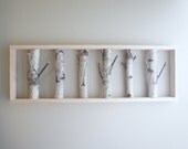 natural white birch forest wall art 36 x 12 - made to order