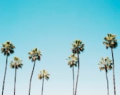 California Wall Art, Palm Trees, Landscape, Blue, Aqua, Summer, Photography Decor, Californication, 8x10 Print - BreeMadden