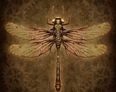 Steampunk Dragonfly - Art Print - Brigid Ashwood