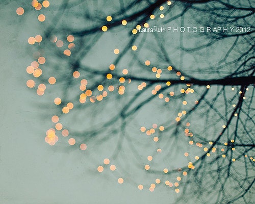 Tree Lights Photograph - (Blue, Ivory, Black) - Holiday Photography, Tree, branches, Home Decor,  8x10 - "Lights"