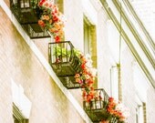 BOSTON NORTH END Brownstone Balcony Fine Art Photography, Cityscape Art, Massachusetts Print, Boston's Famous North End, Brownstone Building