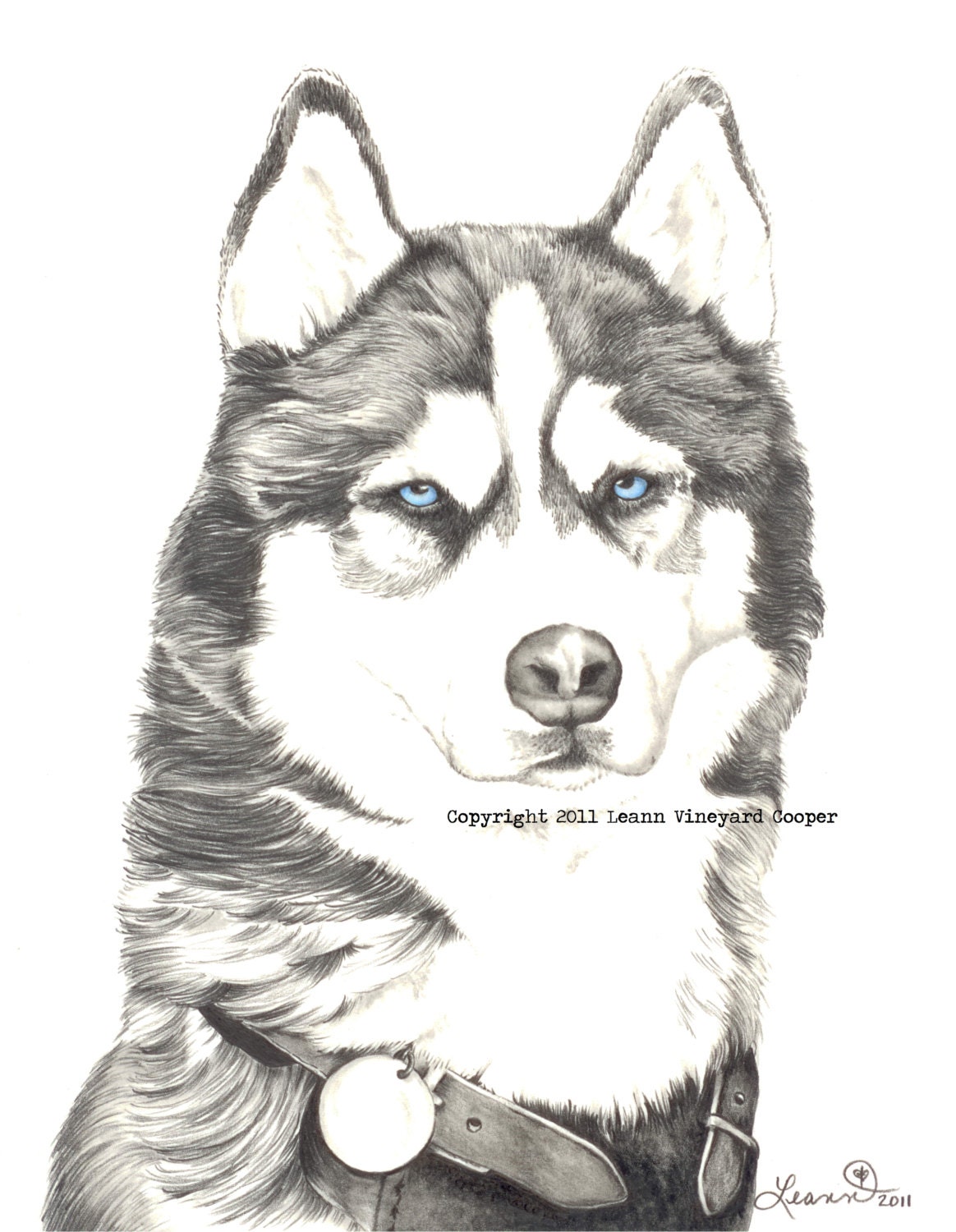 Husky drawing, print - "Husky dog"