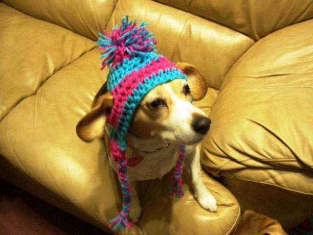 Betty Beagle's Adorable Crochet Dog Hats Hand made by Kams-store.com