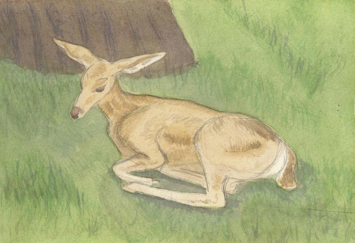 Digital Doe For Download (etsy requires a .20 minimum charge. this covers the listing fee)