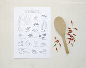 Spices - 8'x11' Print - Ink Illustration - Culinary Art Collection