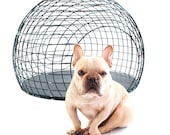 the "LOFT" Pet Home BLACK