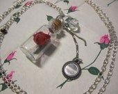 The enchanted Rose - Silver - Beauty and the Beast - Bottle - Glitter - Necklace - love - Jewelry - Disney -
