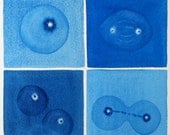 Big Blue Mitosis - original watercolor painting - cell division