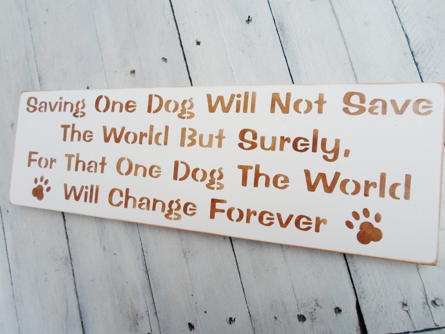 Dog Rescue "Saving one dog will not save the world but surely for that one dog the world will change forever"  benefits animal outreach