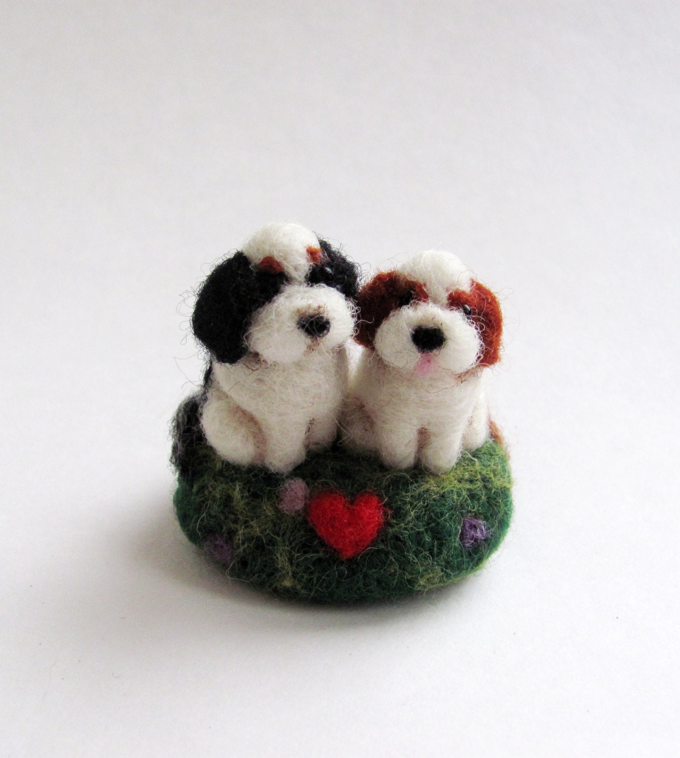 King Charles spaniels couple