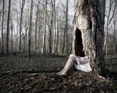 8x10 Home Fine Art Photo Print