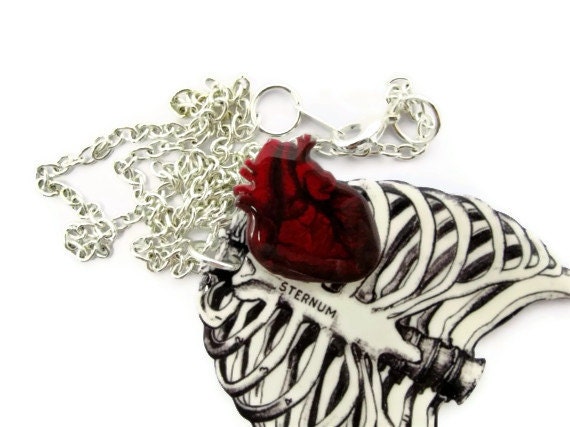 Anatomical Rib Cage Necklace Anatomical Heart Red Anatomy Anatomically Correct Statement Jewelry Medical Illustration