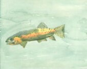 Colorful Trout watercolor painting print