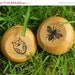 SALE PARTY FAVOR Yo Yo, 10 Bees & Owls Wooden Yo-Yos, Heirloom Old Fashioned Waldorf Toy
