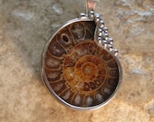 Ammonite Fossil Pendant