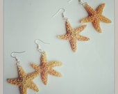 Natural Starfish Earrings