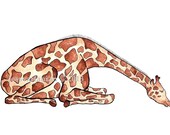 Relaxing Giraffe Watercolor & Ink Illustration Print