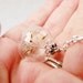 Real Dandelion Seed Glass Orb Necklace In Silver Small Orb