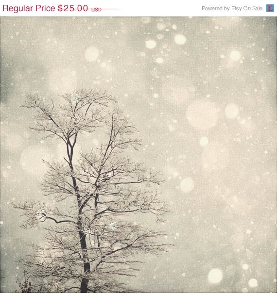 SALE 30% OFF Winter Art: First Snow 8x8 Fine Art Photography, Snow Bokeh Tree Wall Art Nature Wall Art