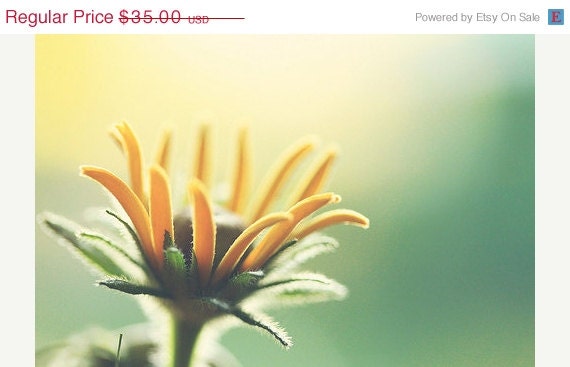 SALE 30% OFF Flower Photography: "Holding On" 8x12 Fine Art Photography green yellow flower photograph botanical prints floral