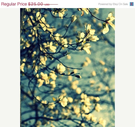 SALE 30% OFF Nature Wall Art Tree Photo: Bewitching 8x10 Fine Art Photography teal green turquoise nature photography wall art botanical ar