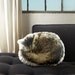 Sleeping Cat Canvas Printed Pillow