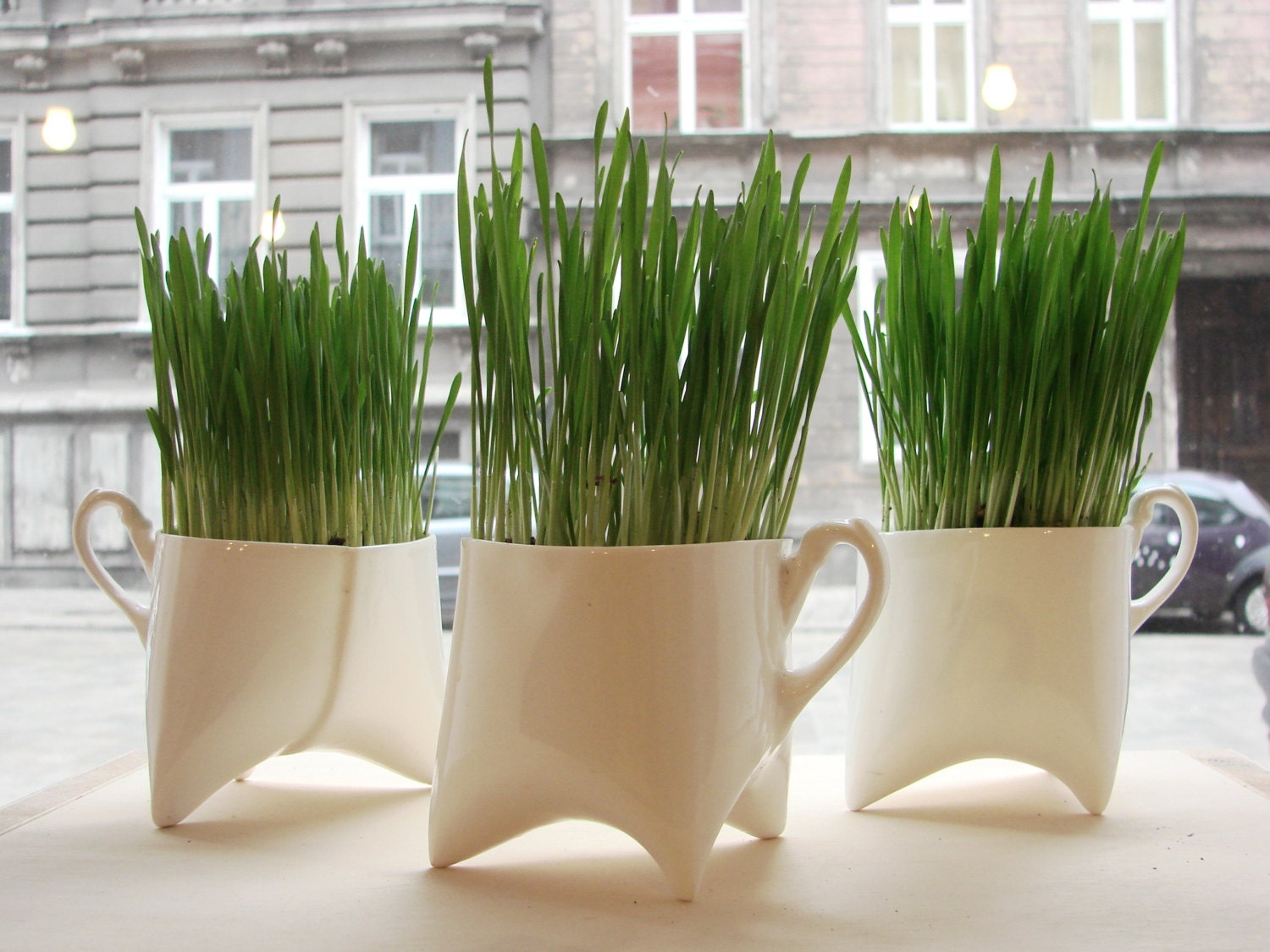 Ceramic mug planter - white porcelain mug, contemporary ceramic cup handmade coffee cup or tea cup by Endesign