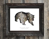 Grizzly Bear Silhouette In Bark : Nature Theme Eco Decor, Woodland Animal Photography - Rustic Lodge, Home Wall Art