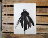 Honey Bee and the Coneflower : Archival Print Of Charcoal Drawing - Nature Art 5x7 - Featured in West Elm