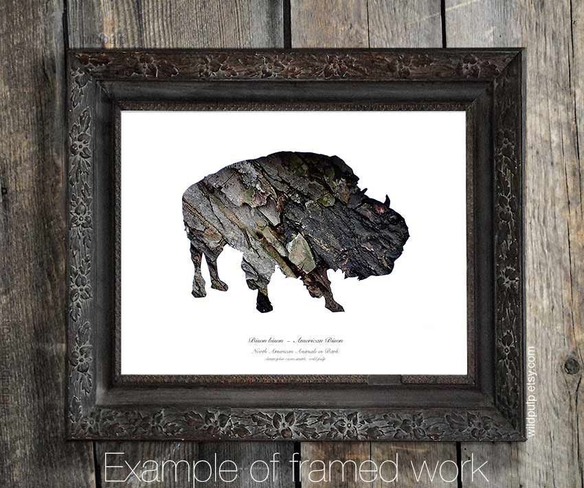 Bison Silhouette In Bark : Woodland Animal - Eco Nature Decor, Animal Photography - Rustic Cabin, Lodge, Home Art, Wild Pulp