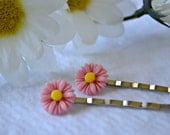 Pink Bobby Pin Set