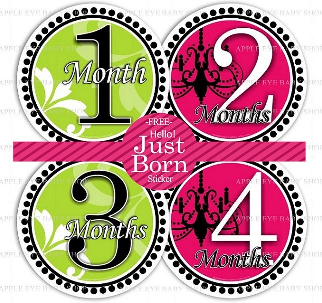 13 Monthly Onesie Stickers FREE Hello Just Born - LITTLE KENDRA (green.hot pink.black.white) Capture how your baby is growing