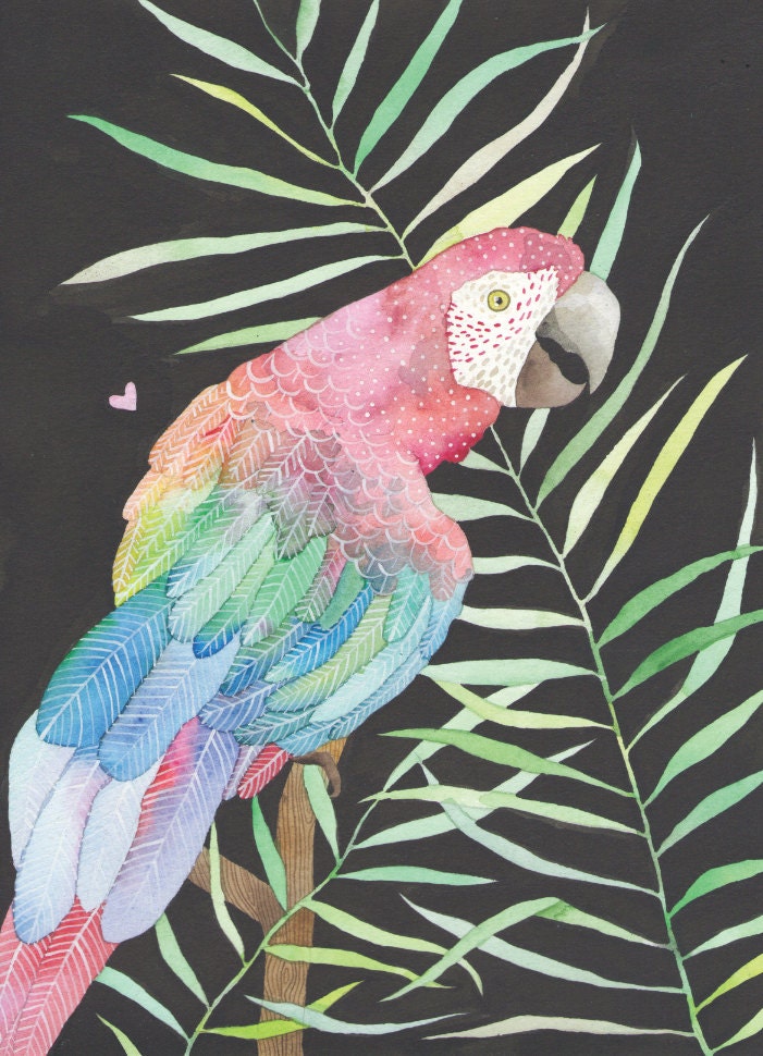 Guacamaya 8x10 print