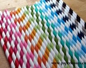 Paper Straws Everything's Better on a Stick Rainbow Pack