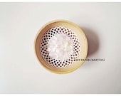Sequins Iridescent - Clear Cream
