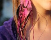Pink and Black Feather Earrings