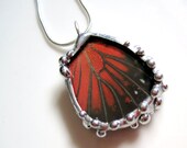 Real Butterfly Wing Jewelry - Pendant - Hamadryas amphinome