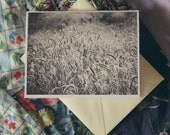 1 Fade Nature Blank Photo Note Card with an Ivory Envelope