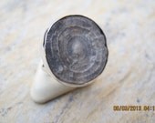 Fossil Ring
