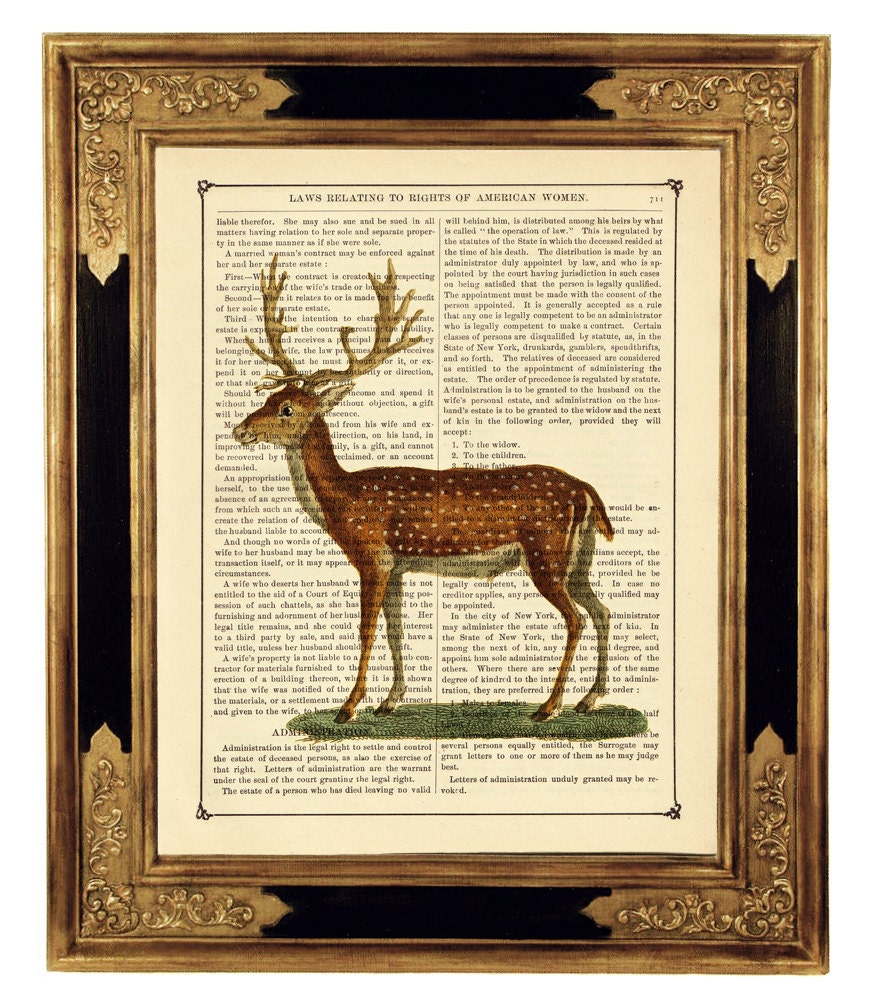Deer Woodland creature antlers - Vintage Victorian Book Page Art Print Steampunk